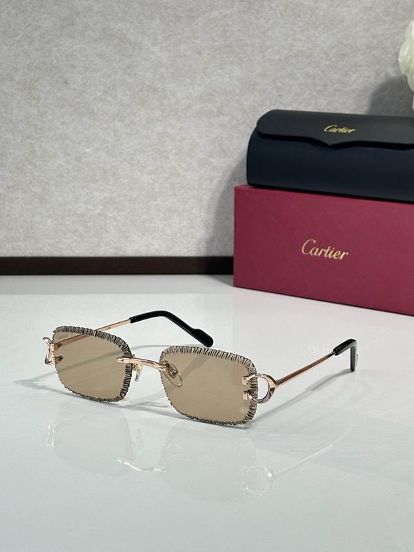 Cartier Glasses smr481